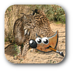 PCpercaso.com: GIMP 2.6 - Installazione completa in Ubuntu 10.04