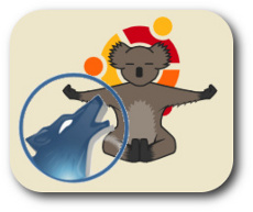 Ubuntu Karmic e Amarok